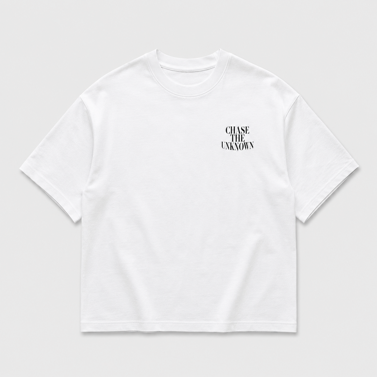 A RISK A DAY heavyweight oversized T-shirt by SPEECH CLOTHING